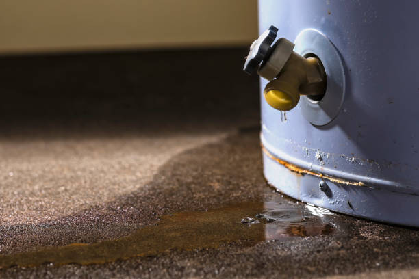 24/7 water damage repair in Riverview Park, PA