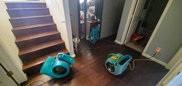 Best Water damage restoration services  in Riverview Rk, PA
