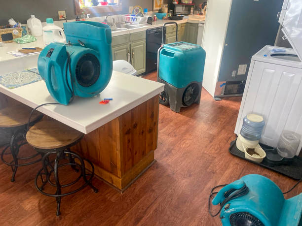 Best Professional water damage repair  in Riverview Rk, PA