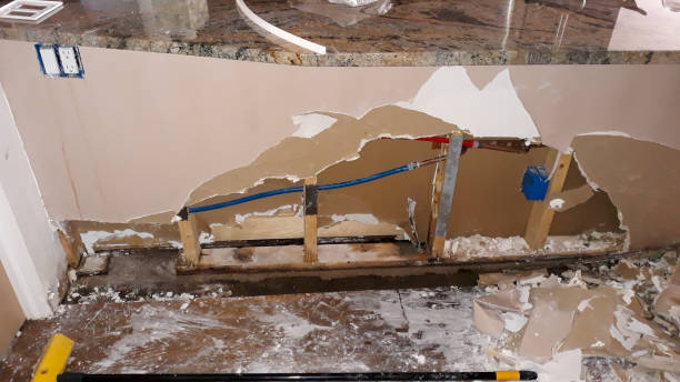 Best Water damage mitigation services  in Riverview Rk, PA
