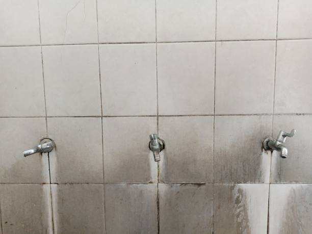 Best Water damage restoration near me  in Riverview Rk, PA