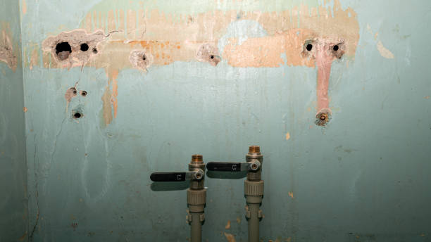 Best Fire Damage Restoration  in Riverview Rk, PA