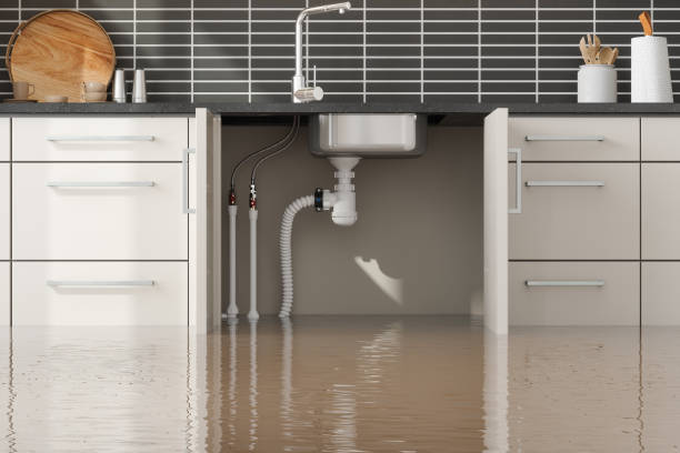 Best Carpet water damage restoration  in Riverview Rk, PA